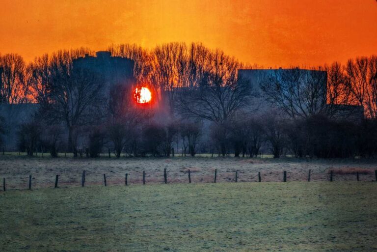 Morgenstimmung zwischen Auen und Stahl